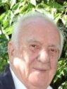karic dzemudin